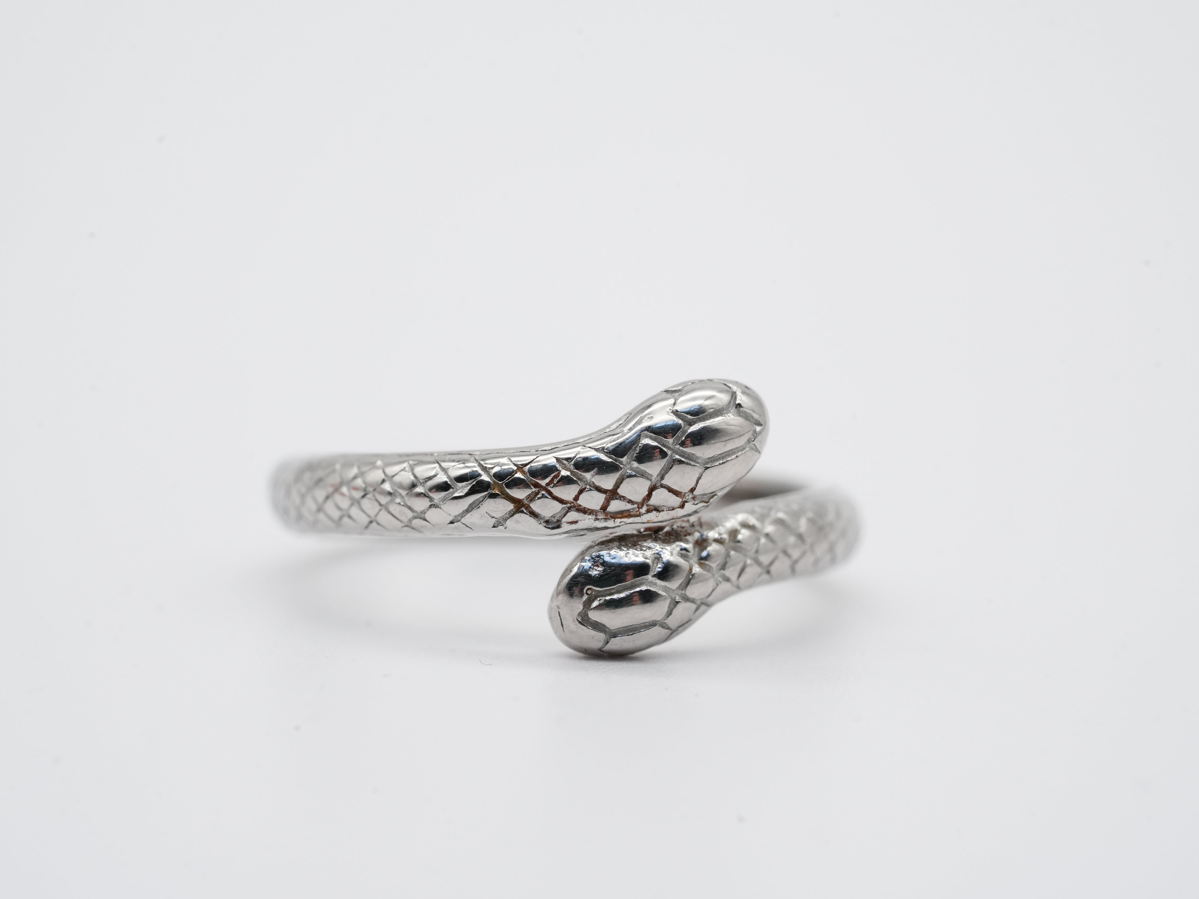Silberner Edelstahlring im Schlangenmotiv
